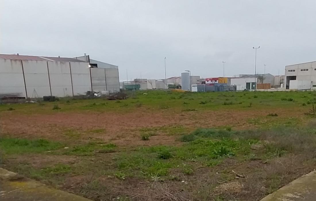 20231205_114851.jpg